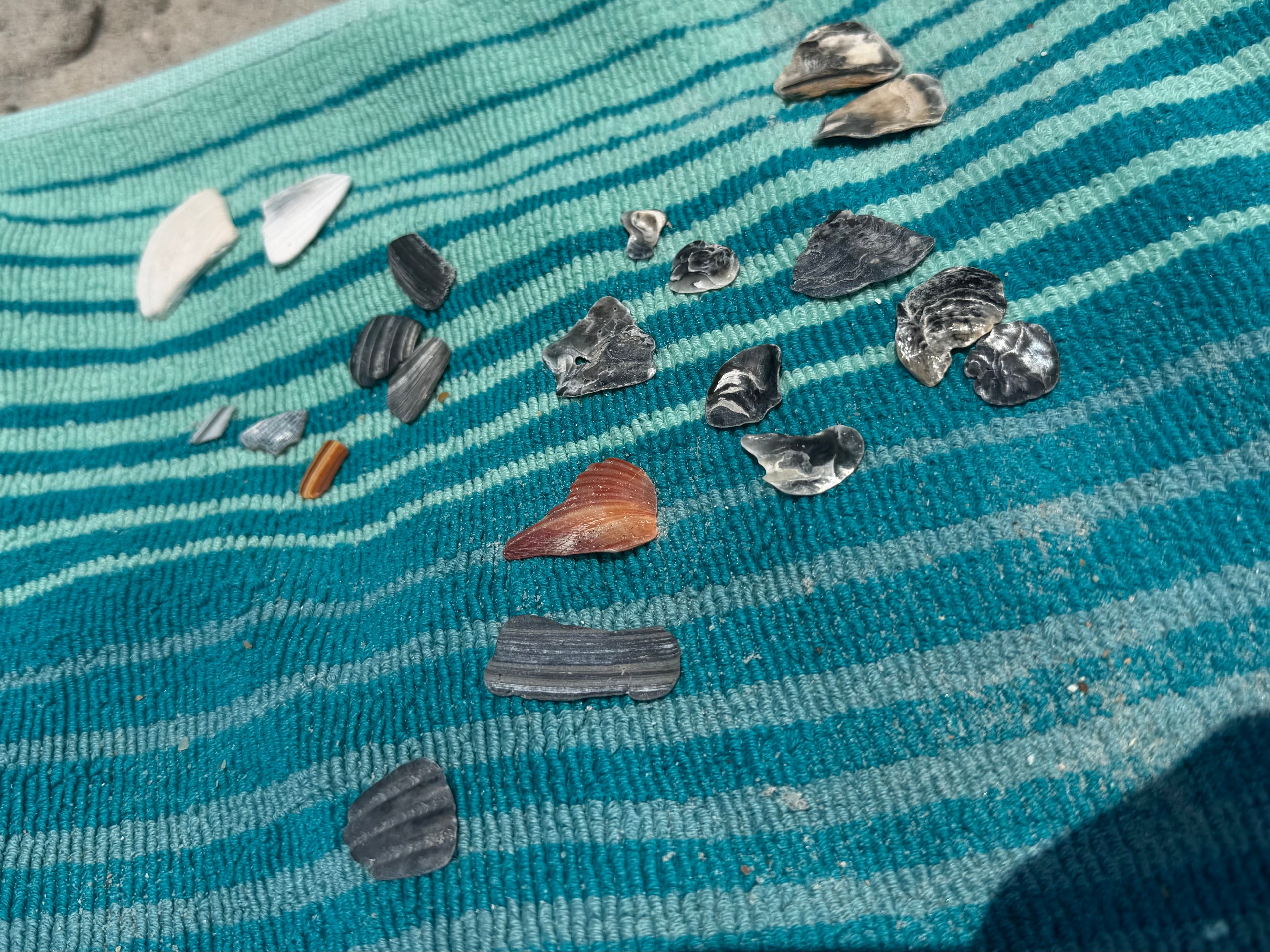 A Fresh Start for dd's pendants