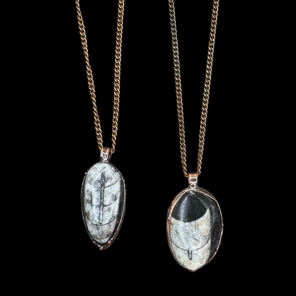 Electroformed Copper Orthoceras Fossil Necklace: Ancient Spiral Shell