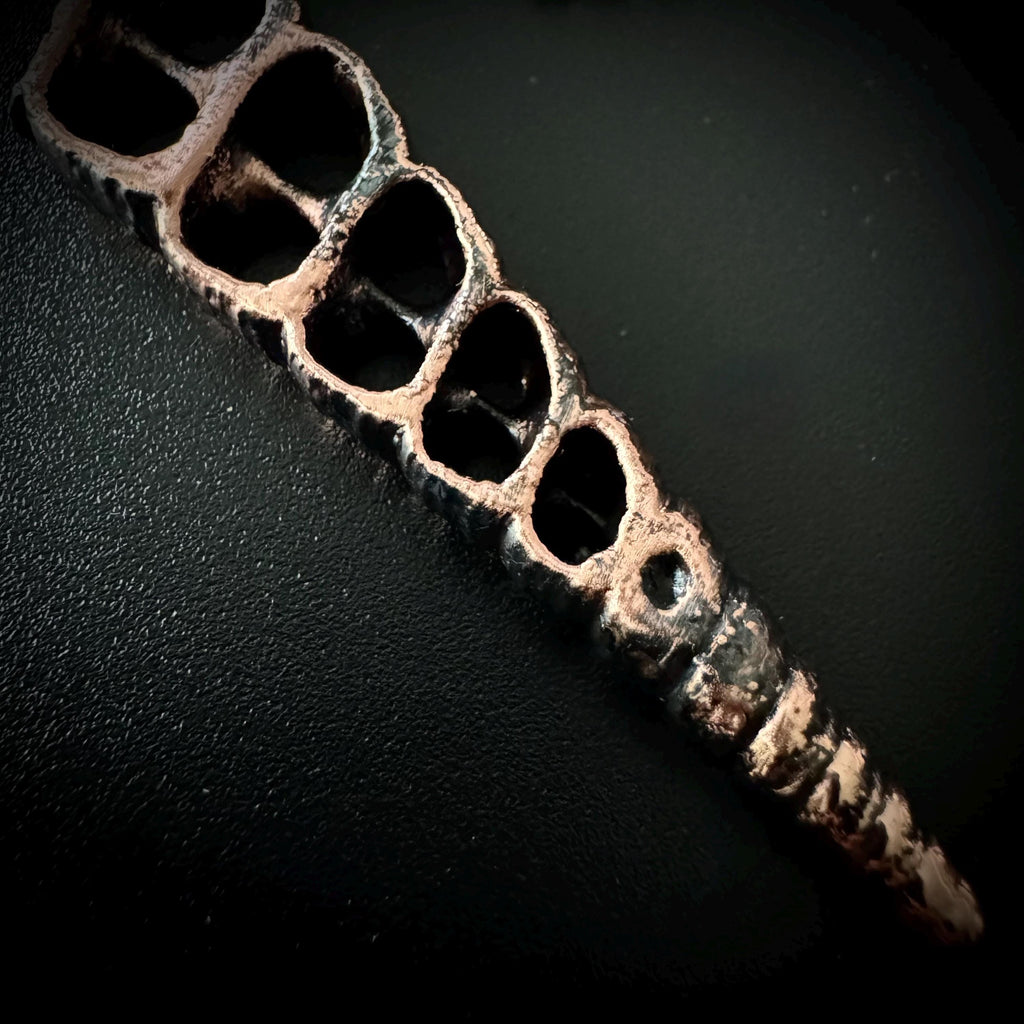 Electroformed Seashell Necklace: Copper Coastal Pendant, Rose Gold Chain