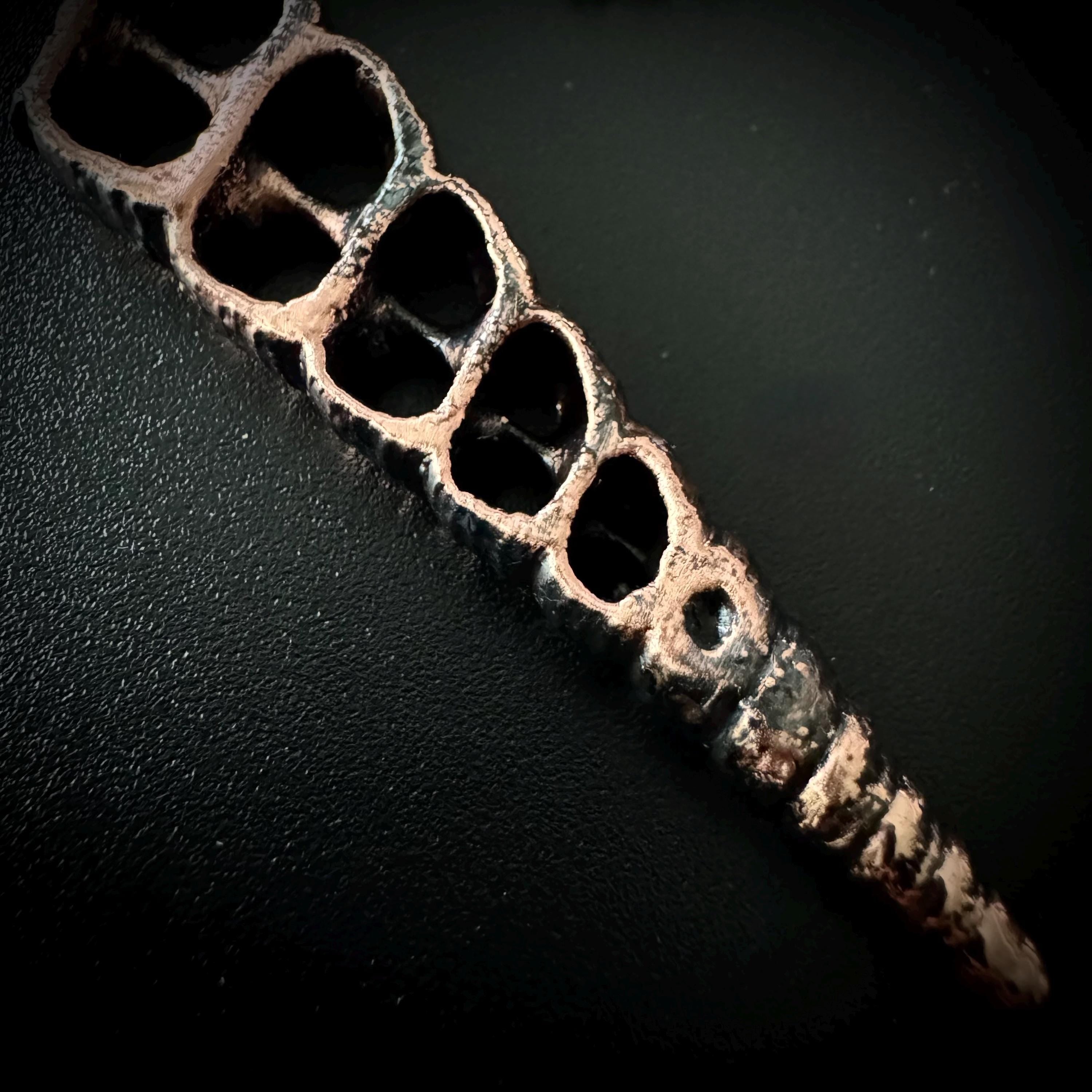Electroformed Seashell Necklace: Copper Coastal Pendant, Rose Gold Chain