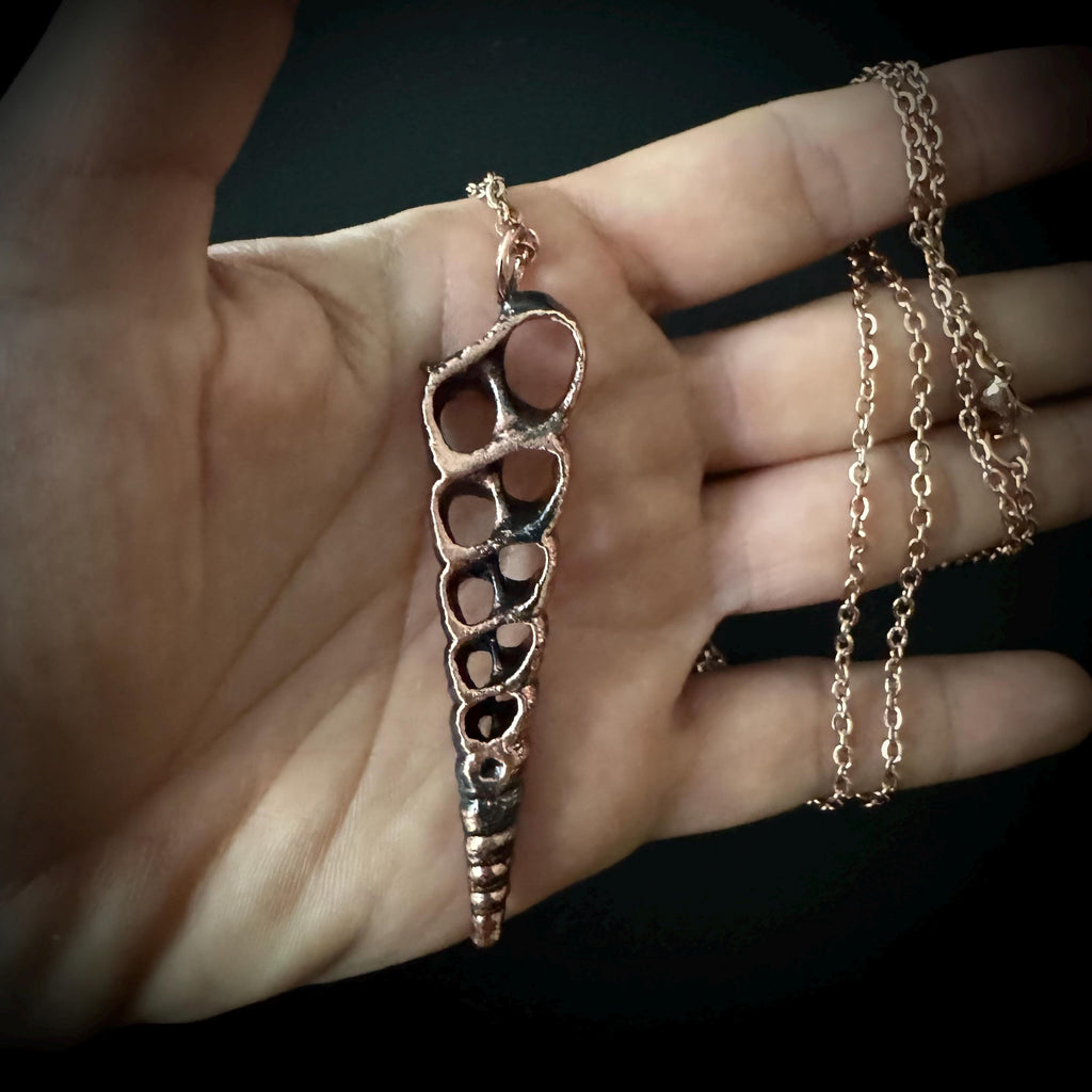 Electroformed Seashell Necklace: Copper Coastal Pendant, Rose Gold Chain