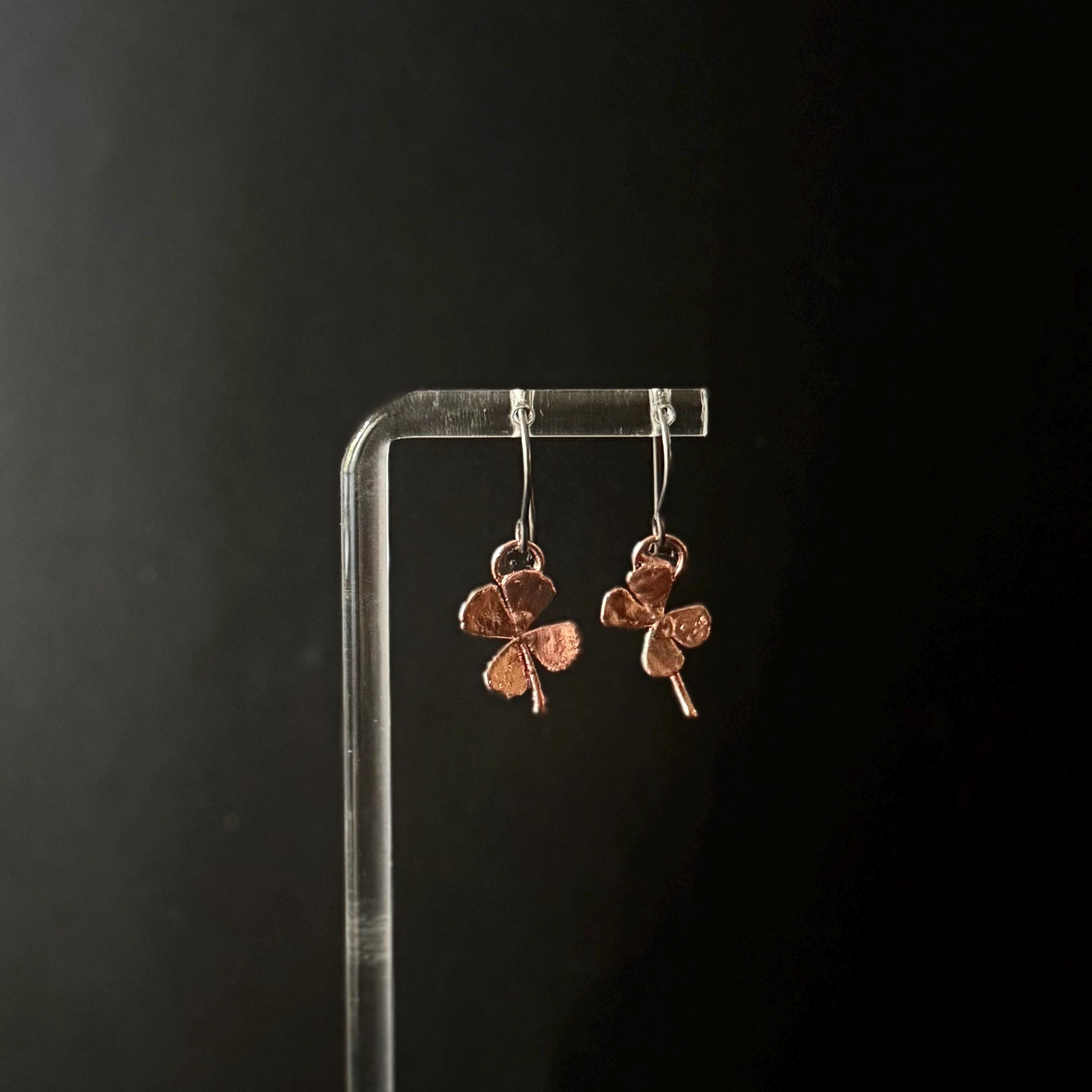 Real 4 Leaf Clover Electroformed Copper Dangle Earrings on Niobium Ear Wires