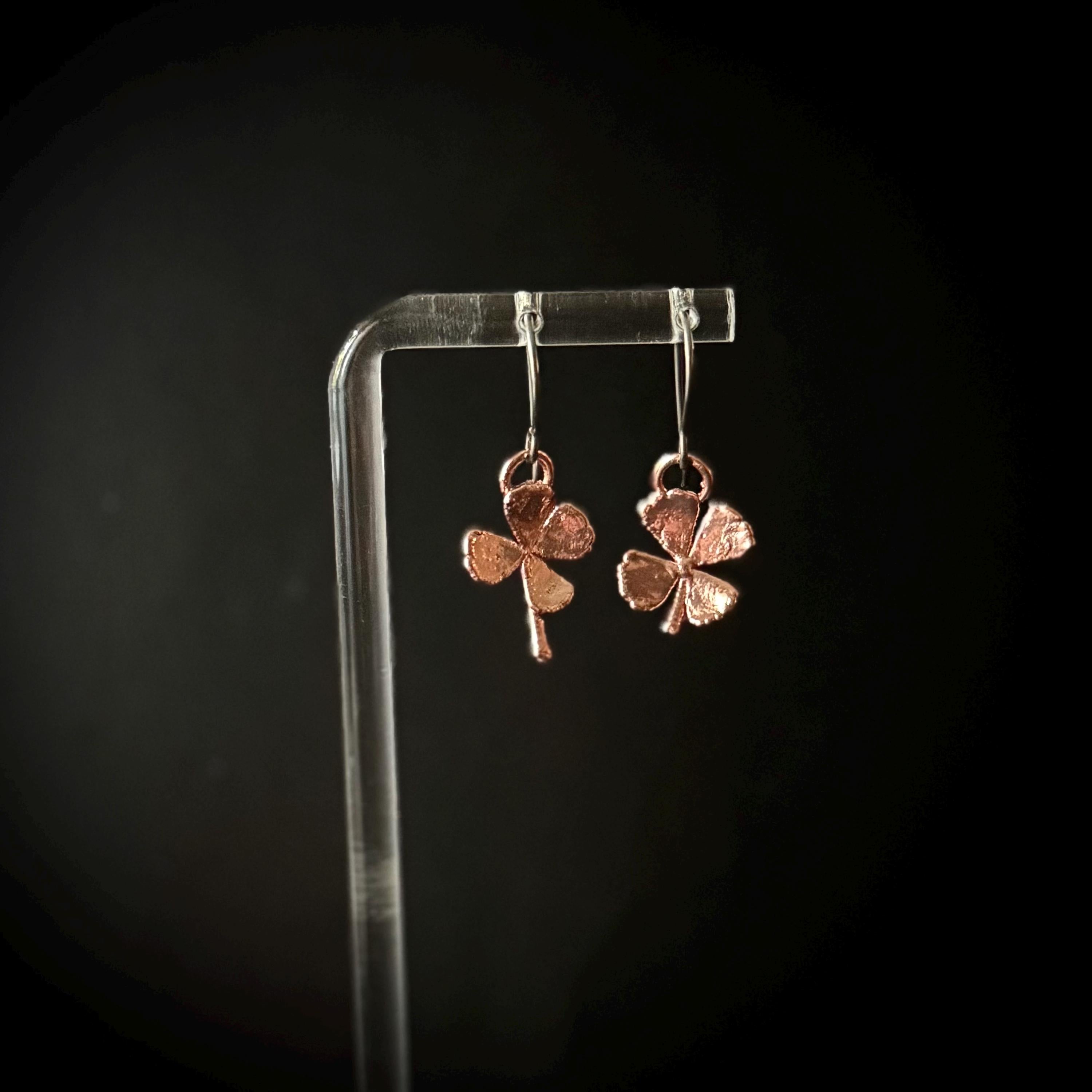 Real 4 Leaf Clover Electroformed Copper Dangle Earrings on Niobium Ear Wires