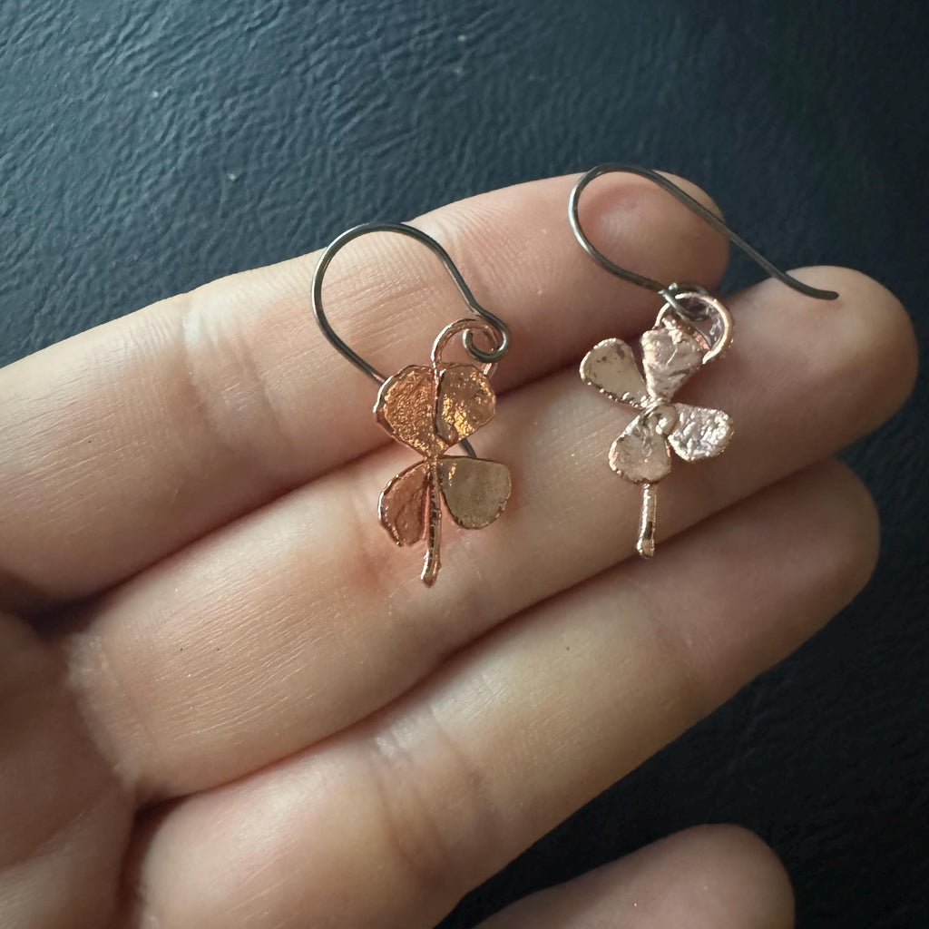 Real 4 Leaf Clover Electroformed Copper Dangle Earrings on Niobium Ear Wires