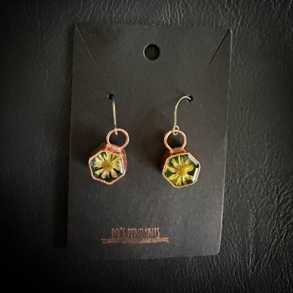 Dried Flower Resin Earrings | Botanical Jewelry | Niobium Ear Wires | Handmade Nature Earrings