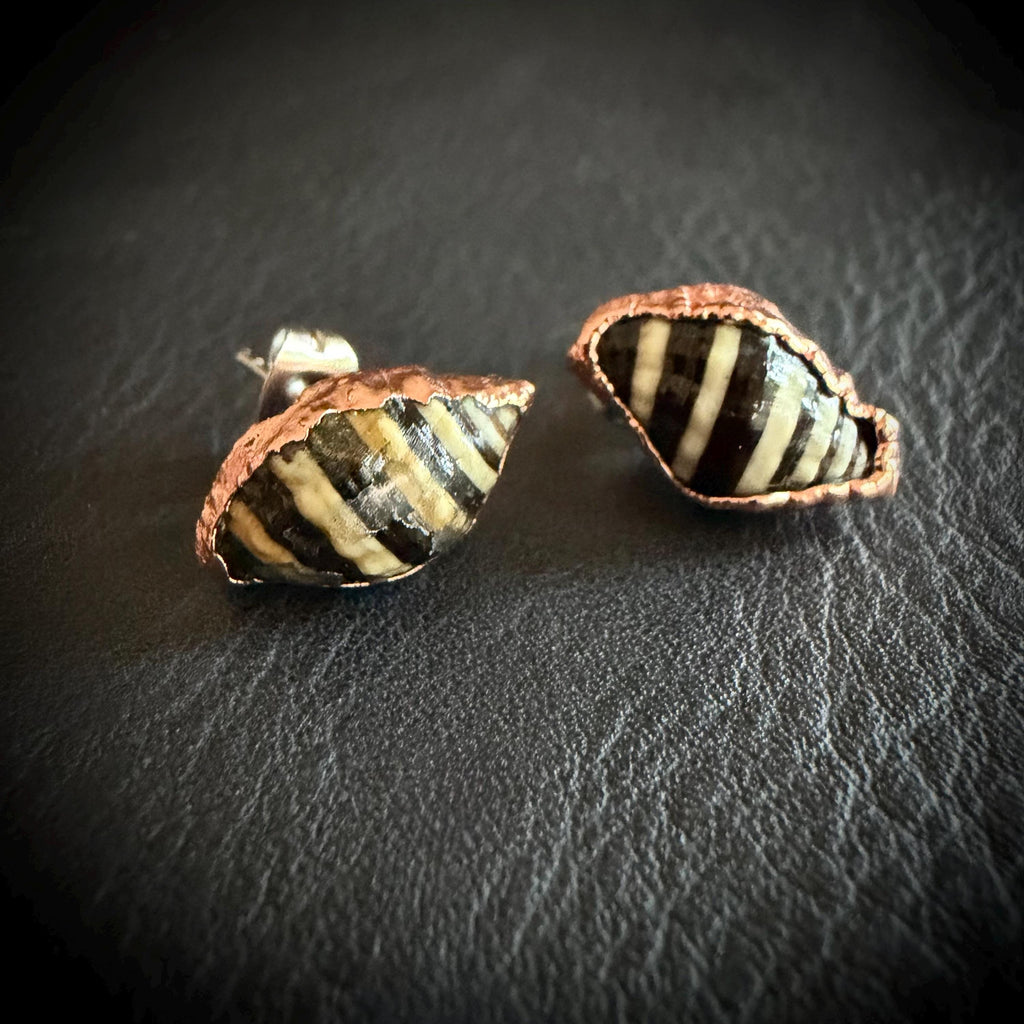 Tiny Electroformed Seashell Stud Earrings | Real Shell Earrings | Coastal Jewelry | Stainless Steel Posts | Beach Lover Gift