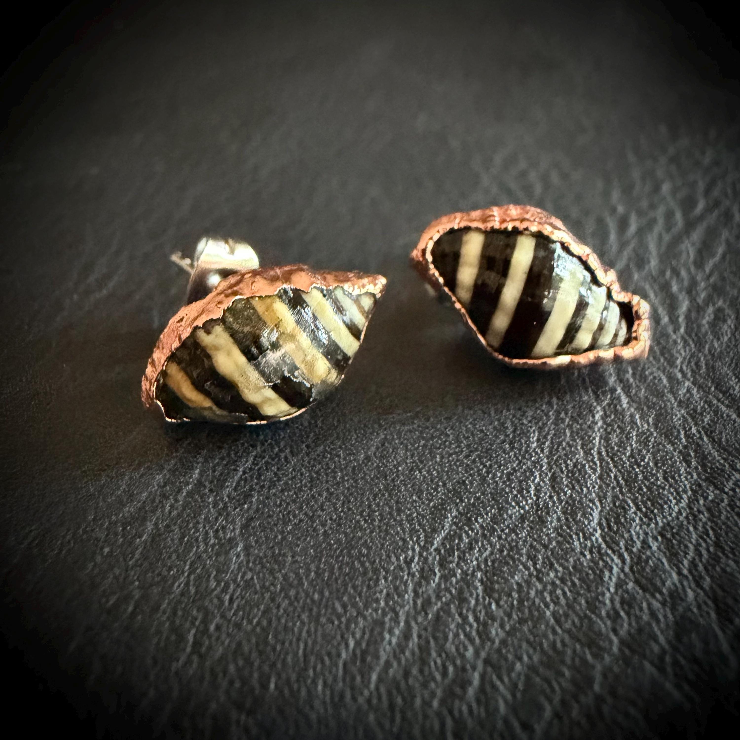 Tiny Electroformed Seashell Stud Earrings | Real Shell Earrings | Coastal Jewelry | Stainless Steel Posts | Beach Lover Gift