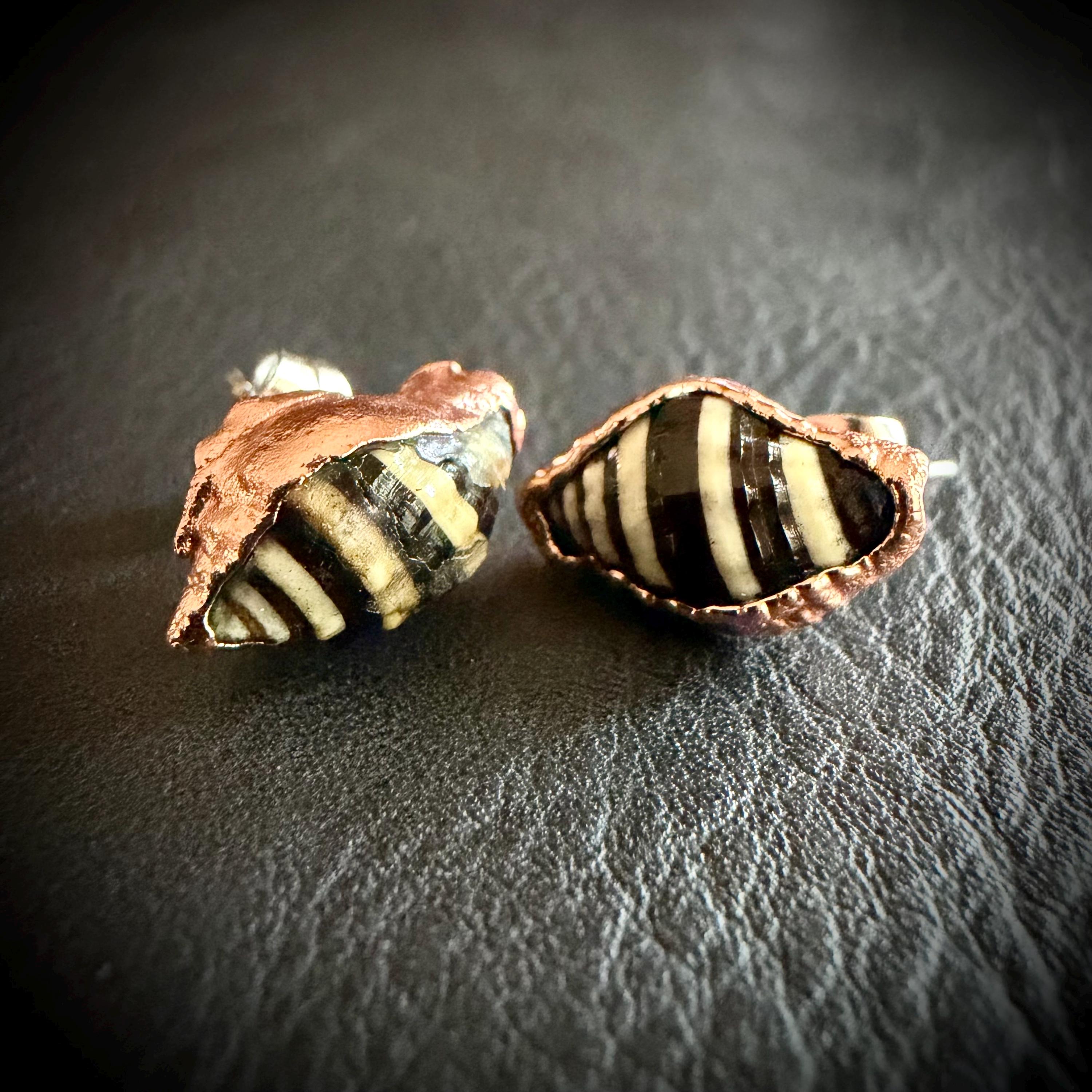 Tiny Electroformed Seashell Stud Earrings | Real Shell Earrings | Coastal Jewelry | Stainless Steel Posts | Beach Lover Gift