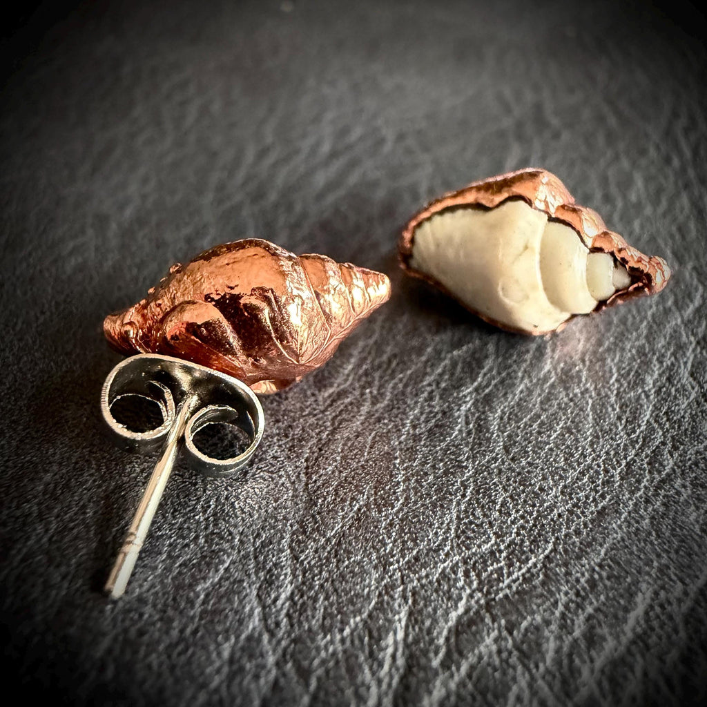 Tiny Electroformed Seashell Stud Earrings | Real Shell Earrings | Coastal Jewelry | Stainless Steel Posts | Beach Lover Gift