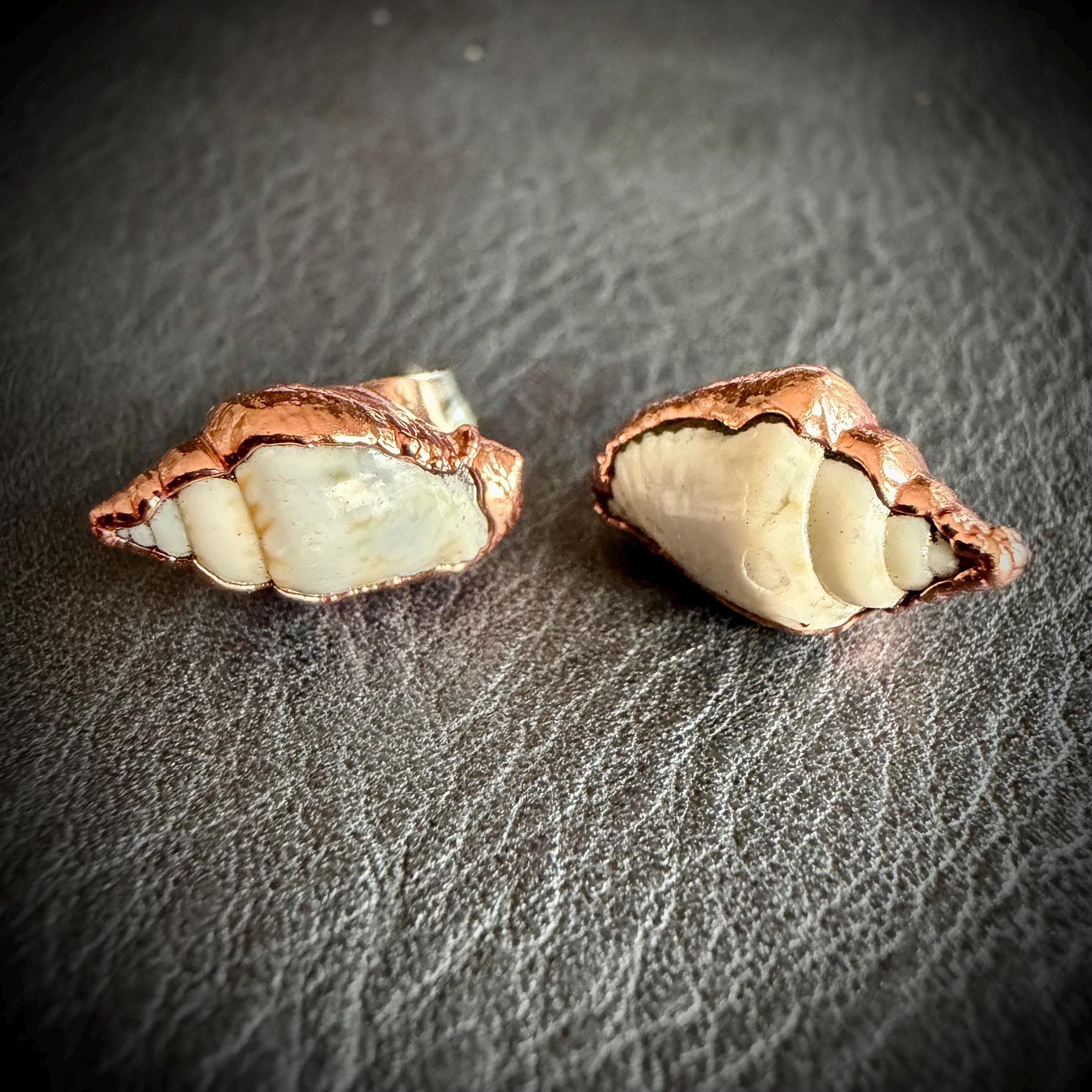 Tiny Electroformed Seashell Stud Earrings | Real Shell Earrings | Coastal Jewelry | Stainless Steel Posts | Beach Lover Gift