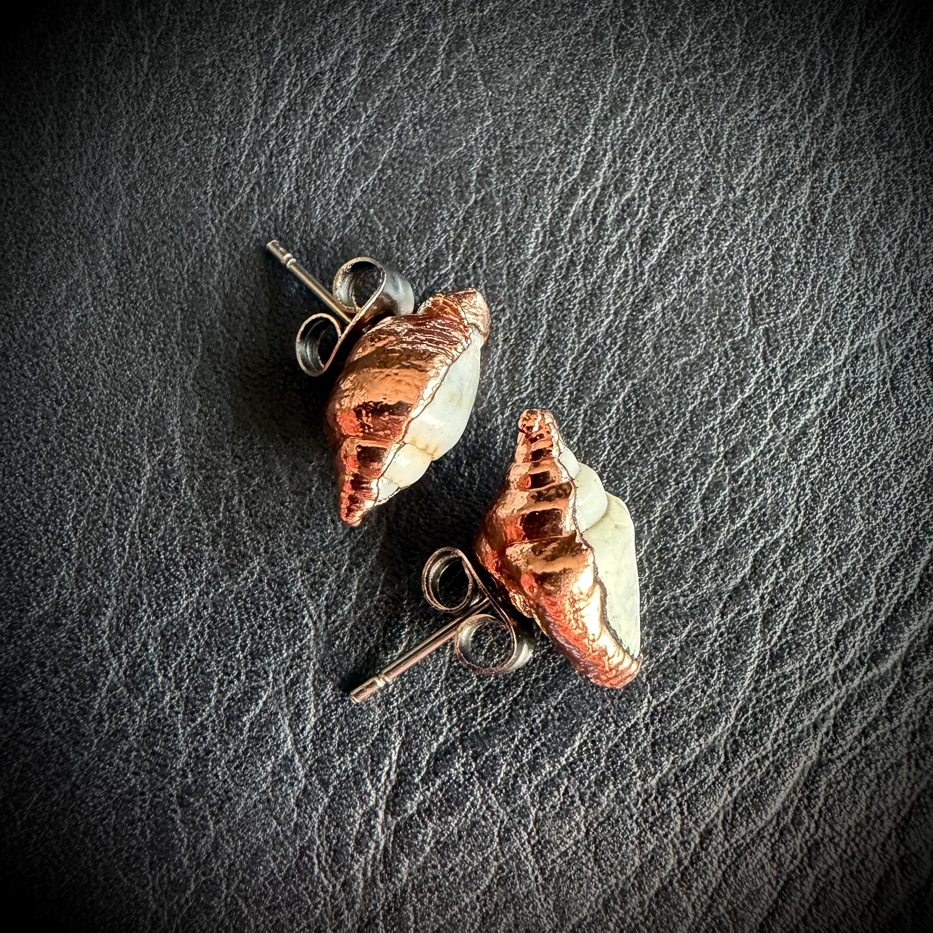 Tiny Electroformed Seashell Stud Earrings | Real Shell Earrings | Coastal Jewelry | Stainless Steel Posts | Beach Lover Gift