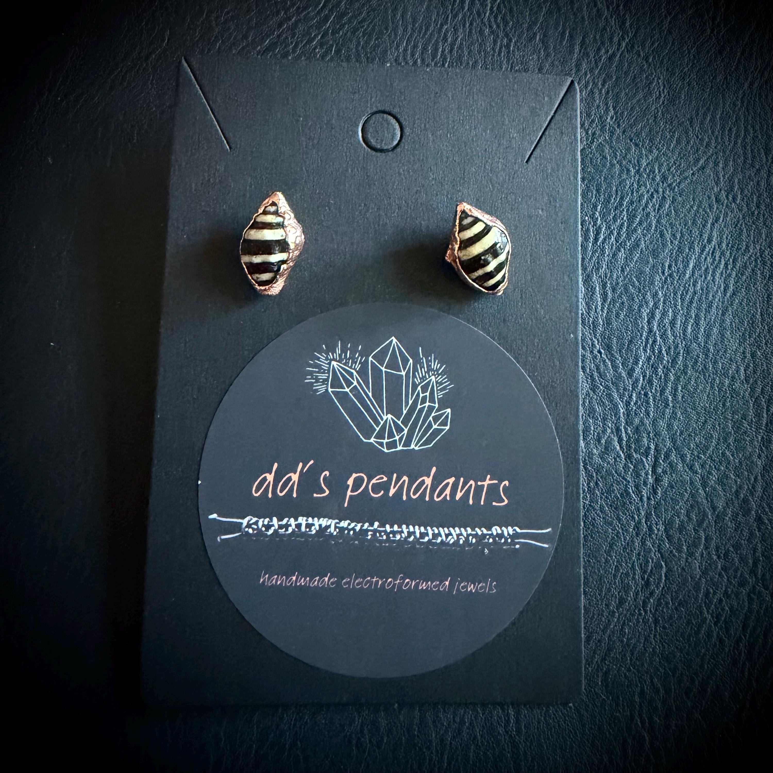 Tiny Electroformed Seashell Stud Earrings | Real Shell Earrings | Coastal Jewelry | Stainless Steel Posts | Beach Lover Gift