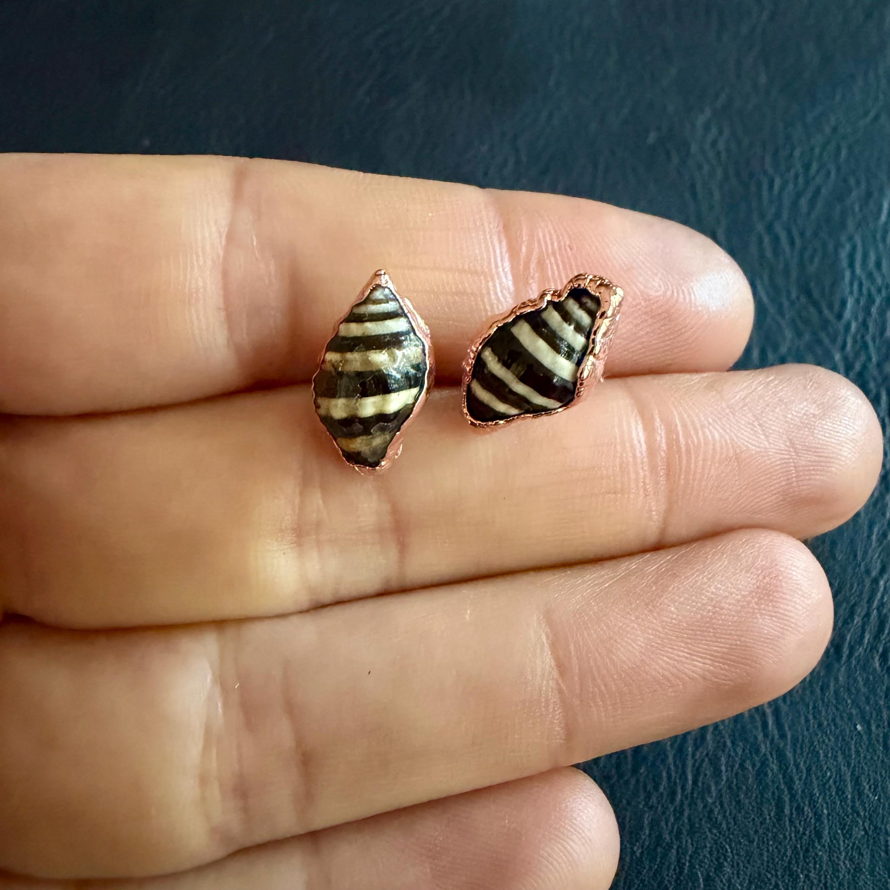 Tiny Electroformed Seashell Stud Earrings | Real Shell Earrings | Coastal Jewelry | Stainless Steel Posts | Beach Lover Gift
