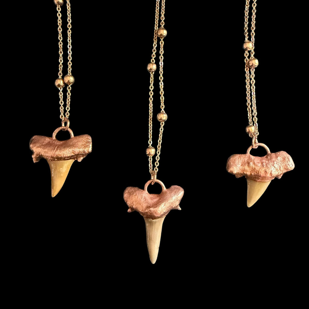Real Shark Tooth Necklace | Electroformed Copper Pendant | Handmade Boho Beach Jewelry | Rose Gold Chain | Ocean Gift