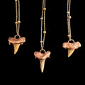 Real Shark Tooth Necklace | Electroformed Copper Pendant | Handmade Boho Beach Jewelry | Rose Gold Chain | Ocean Gift