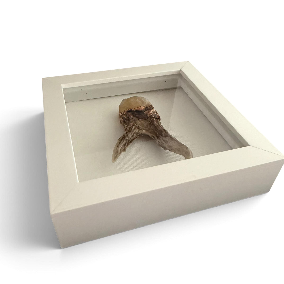 Electroformed Real Antler and Raw Citrine Wall Art | Framed Copper Crystal Shadow Box | Boho Nature Decor | Citrine Abundance Gift