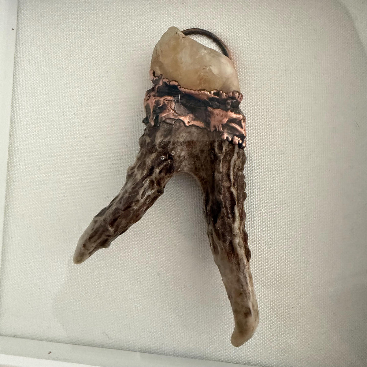 Electroformed Real Antler and Raw Citrine Wall Art | Framed Copper Crystal Shadow Box | Boho Nature Decor | Citrine Abundance Gift