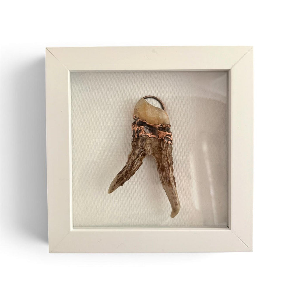 Electroformed Real Antler and Raw Citrine Wall Art | Framed Copper Crystal Shadow Box | Boho Nature Decor | Citrine Abundance Gift