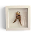 Electroformed Real Antler and Raw Citrine Wall Art | Framed Copper Crystal Shadow Box | Boho Nature Decor | Citrine Abundance Gift
