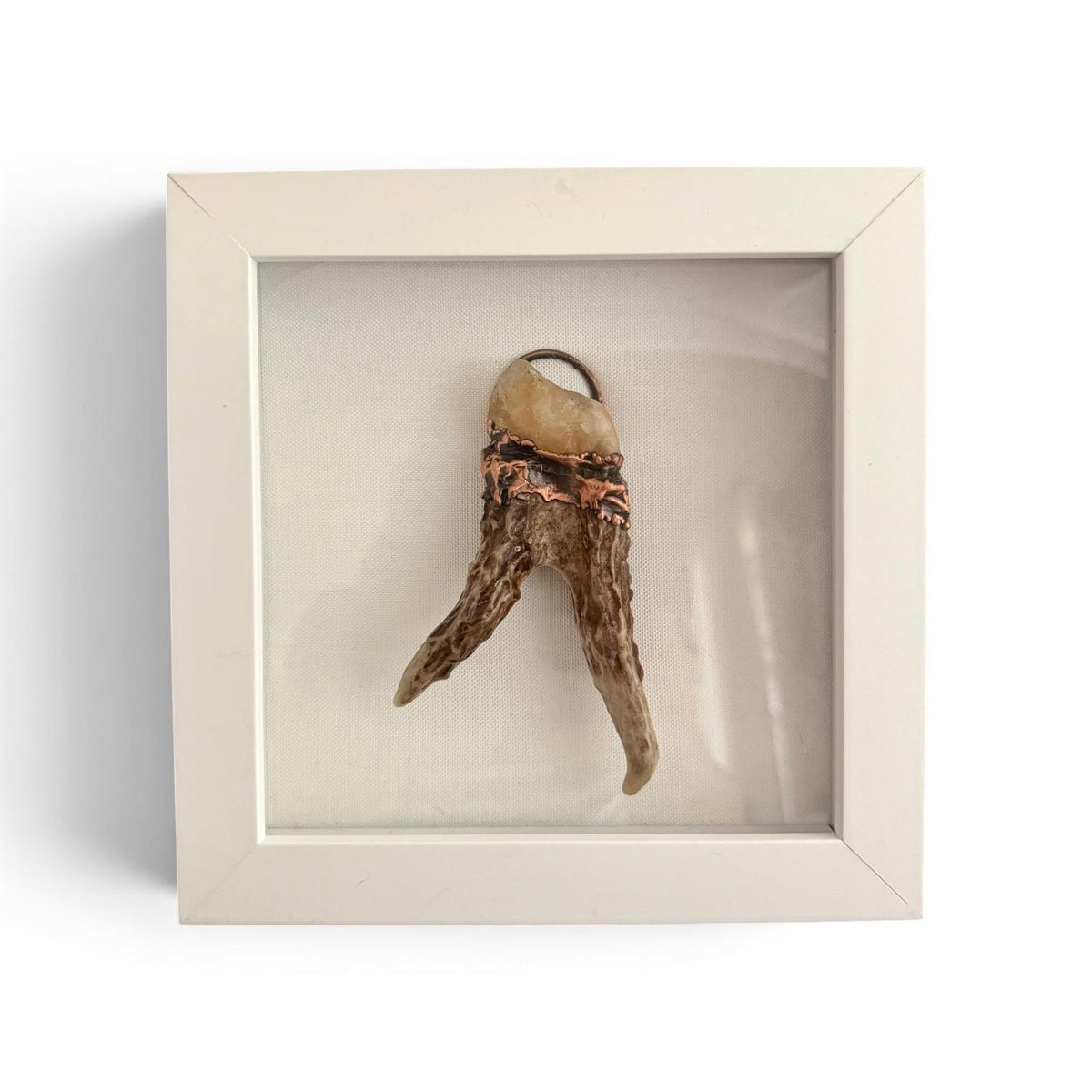 Electroformed Real Antler and Raw Citrine Wall Art | Framed Copper Crystal Shadow Box | Boho Nature Decor | Citrine Abundance Gift