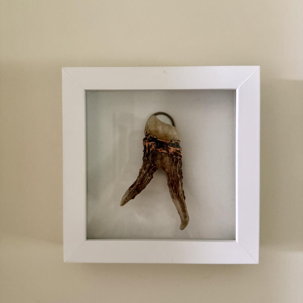 Electroformed Real Antler and Raw Citrine Wall Art | Framed Copper Crystal Shadow Box | Boho Nature Decor | Citrine Abundance Gift