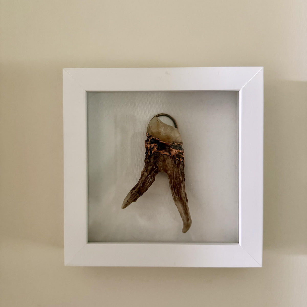 Electroformed Real Antler and Raw Citrine Wall Art | Framed Copper Crystal Shadow Box | Boho Nature Decor | Citrine Abundance Gift
