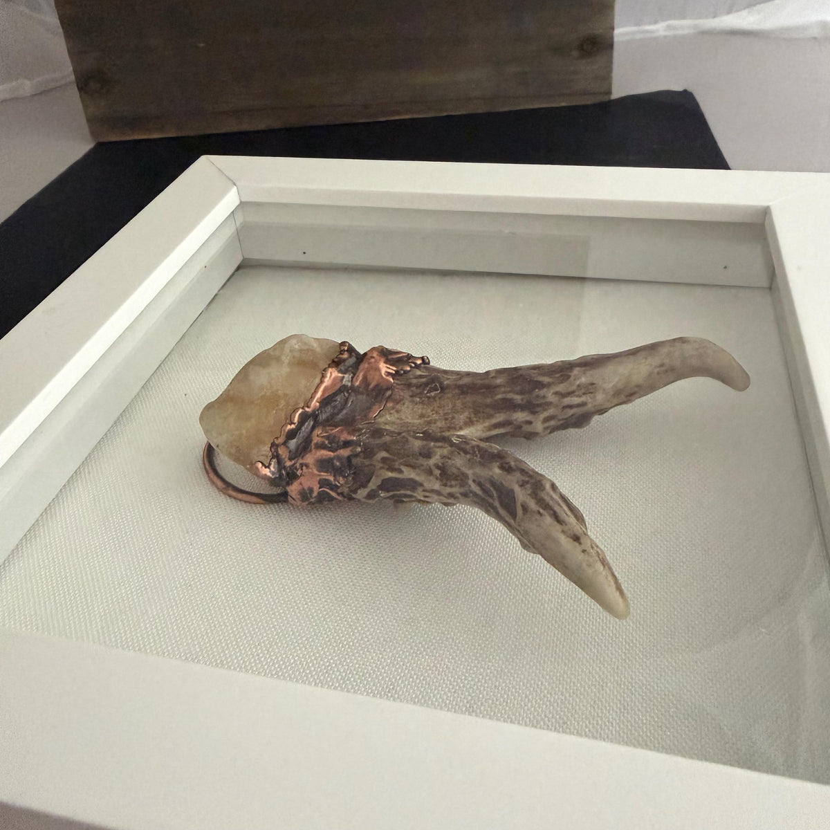 Electroformed Real Antler and Raw Citrine Wall Art | Framed Copper Crystal Shadow Box | Boho Nature Decor | Citrine Abundance Gift