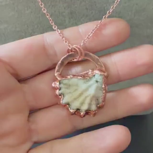 Seashell Necklace