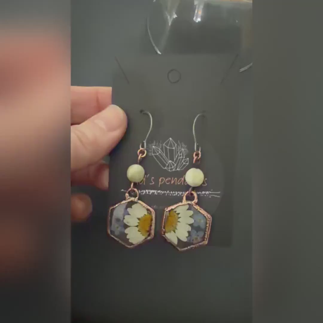 Real Daisy Forget Me Not Earrings