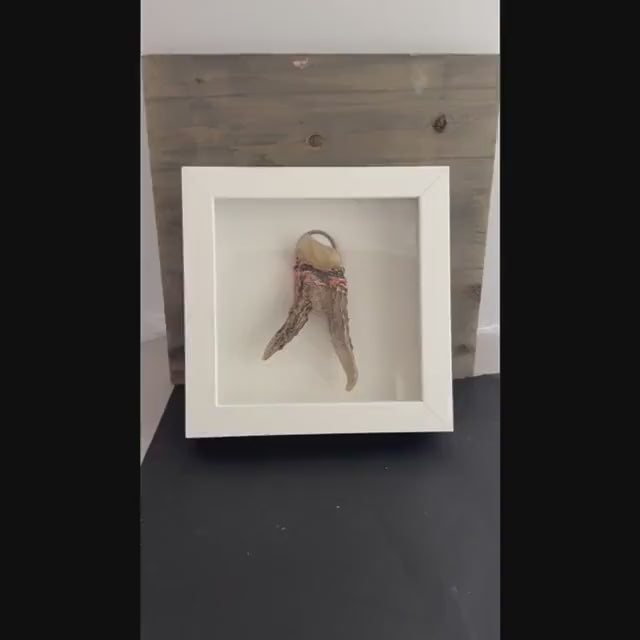 Electroformed Real Antler and Raw Citrine Wall Art | Framed Copper Crystal Shadow Box | Boho Nature Decor | Citrine Abundance Gift