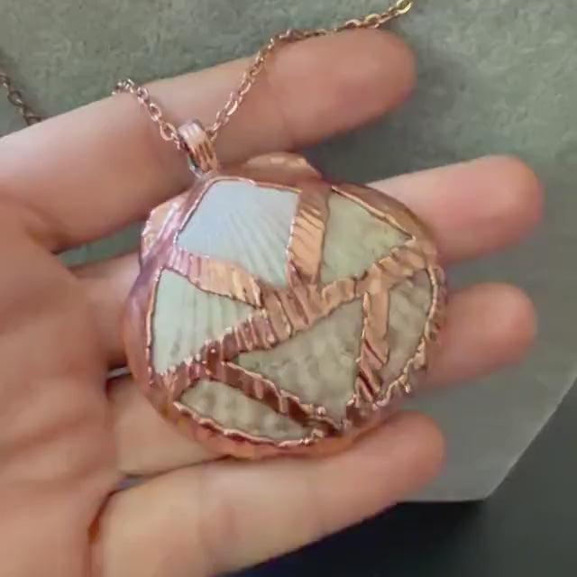 Real Sea Shell  Necklace