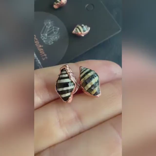 Tiny Seashell Stud Earrings