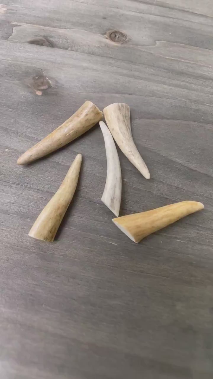 Deer Antler Necklace
